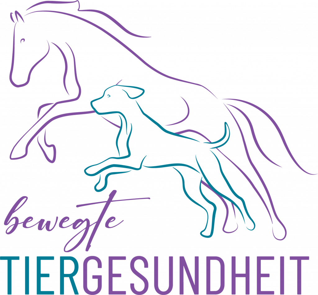 Bewegte Tiergesundheit I Tierphysiotherapie & Tierheilkunde