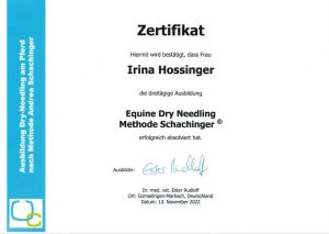 Dry Needling