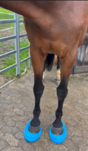 Isometrisches Training