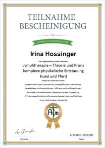 Lymphdrainage